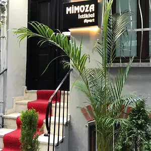 Mimoza Istiklal اسطنبول